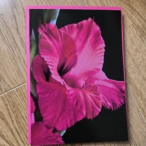 🆕️10 Blank Cards QUALITY Pink Floral Cards w Matching Envelopes